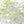 Load image into Gallery viewer, Water Beads