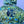 Load image into Gallery viewer, Omilu Hooded Long Sleeve