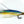 Load image into Gallery viewer, Pelagic Fly