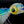 Load image into Gallery viewer, HP Papio Flies -Scoop Face