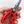Load image into Gallery viewer, Multi-function Stainless Fishing Pliers/Cutter