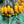 Load image into Gallery viewer, Monofilament Lay Net