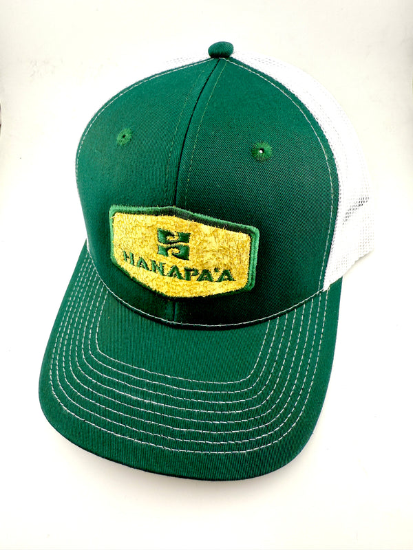 Hana Pa'a Fish Leather Caps