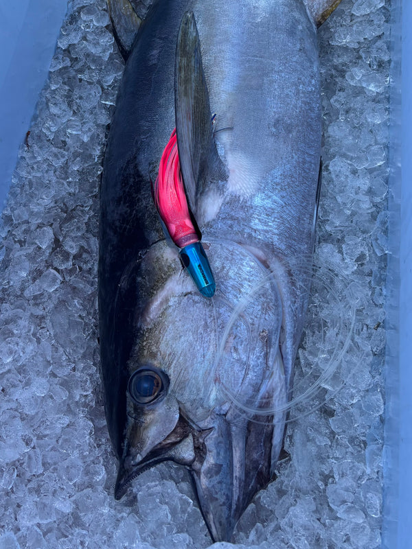 DiamondHead Trolling Lure- Ice Blue