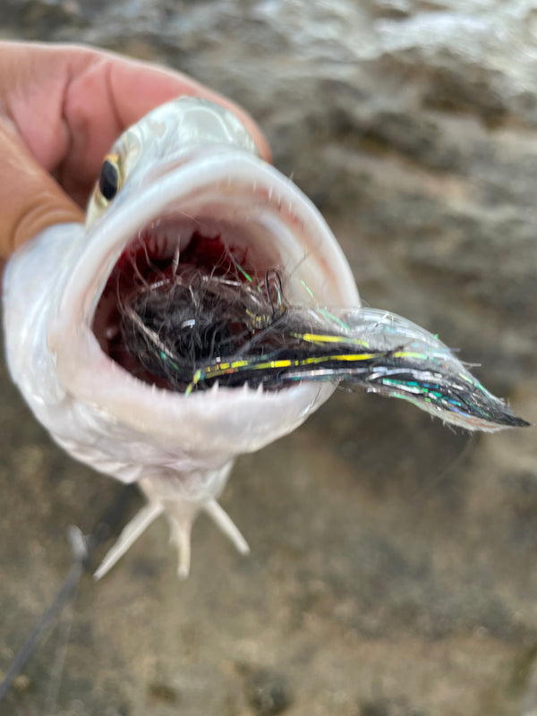 Bullet Eye Fly Olive