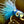Load image into Gallery viewer, Mamiya Basic Puka Head Flies
